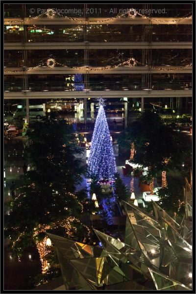 101220Thailand07357