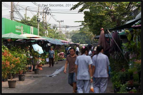 101223Thailand07594