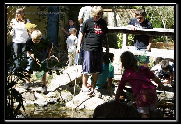 060916herpshow24958