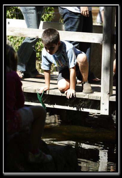 060916herpshow24960