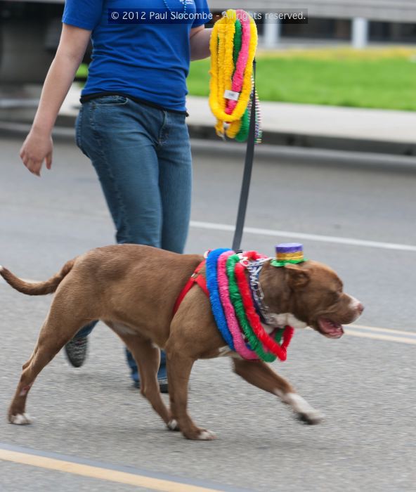 070218mardigras35240