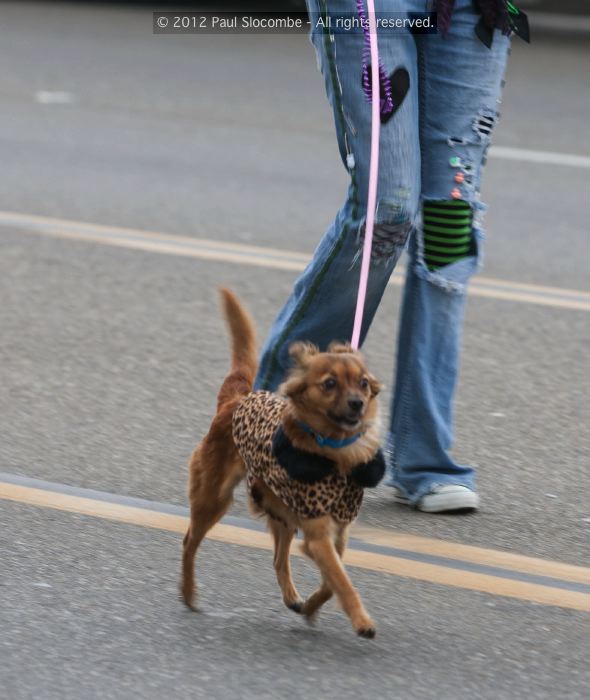 070218mardigras35247
