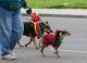 070218mardigras35242