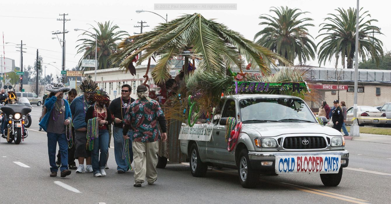 070218mardigras35296