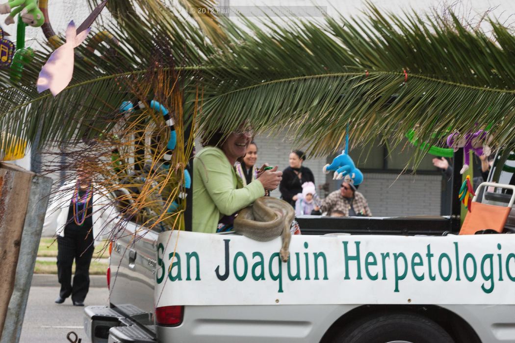 070218mardigras35299
