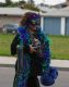 070218mardigras35265
