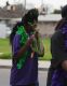 070218mardigras35266