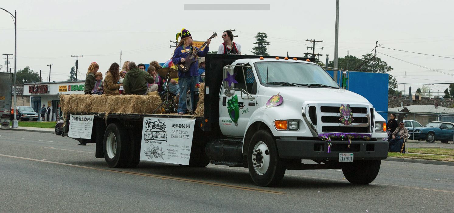 070218mardigras35395