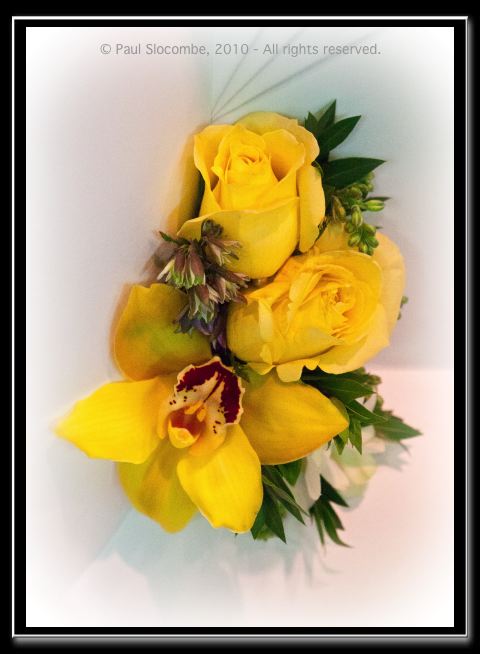101022Caroline04153