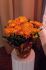 101022Caroline04149