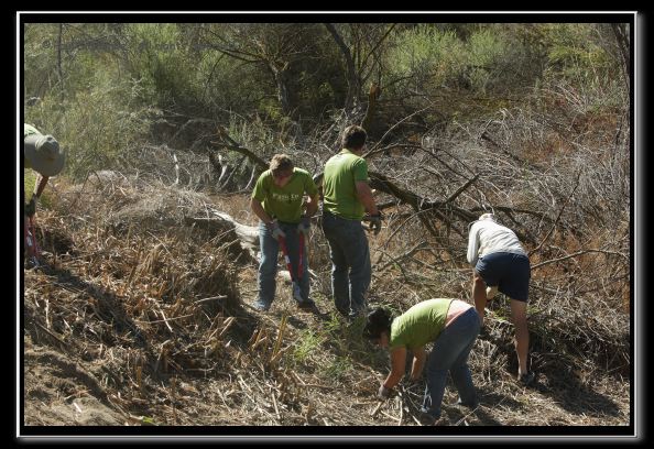 070819reivolunteer40145
