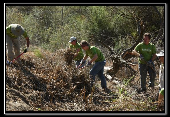 070819reivolunteer40146