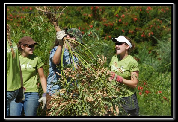 070819reivolunteer40165