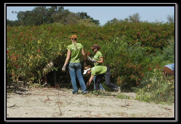 070819reivolunteer40166