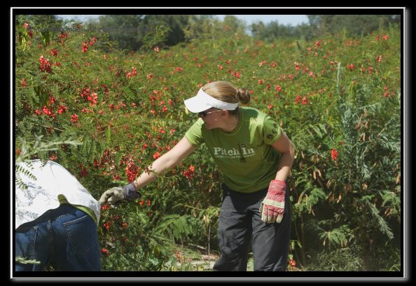070819reivolunteer40174