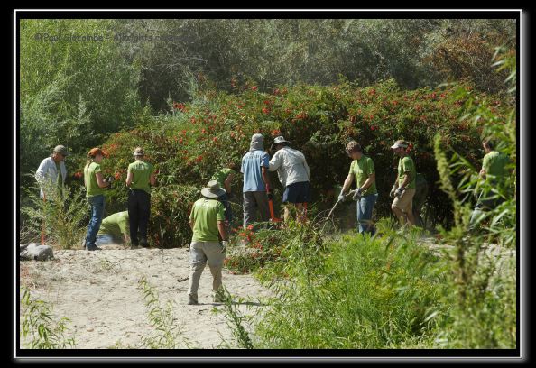 070819reivolunteer40176