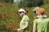 070819reivolunteer40172