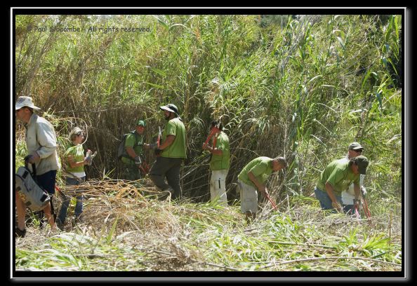 070819reivolunteer40191