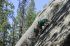 080909Yosemite52184