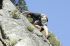 080908Yosemite52086
