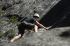 080908Yosemite51984