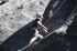 080908Yosemite51985