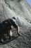 080908Yosemite52037