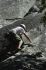 080908Yosemite52054