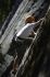 080908Yosemite52105