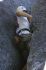 080908Yosemite51991