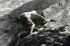 080908Yosemite52053
