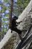 080909Yosemite52224