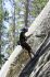 080909Yosemite52225