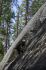 080909Yosemite52205