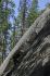 080909Yosemite52206