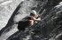 080908Yosemite52031