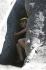 080908Yosemite52045