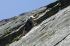 080908Yosemite52094