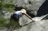 080908Yosemite51999