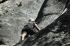 080908Yosemite52027