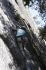 080909Yosemite52238