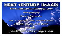 Pauls Business Card