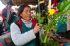 110403cuzco00547