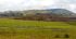 110403cuzco00568