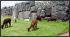 110402cuzco00151