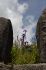 110402cuzco00186