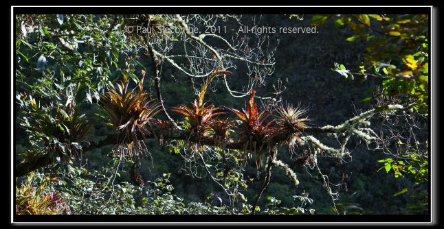 110405MachhuPicc00868