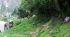 110404MachhuPicc00852