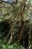 110405MachhuPicc00883