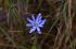 110405MachhuPicc00913
